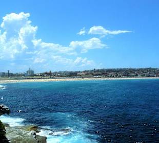 Bondi to Coogee Walk