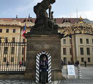 Wache am Burgeingang