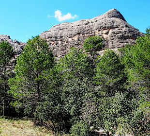 Parc Natural dels Ports