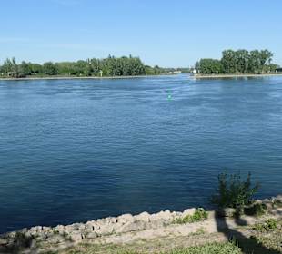 Bei einem Spaziergang in Mainz entlang des Rheins