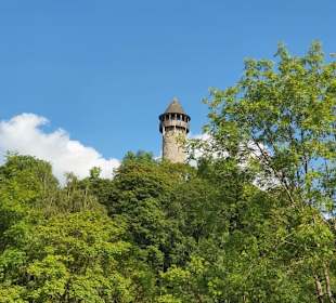 Burg Wildenburg (Hunsrück) - Aussichtsturm