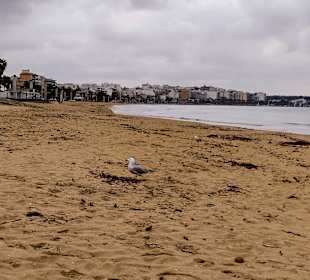 Strand Playa/Platja de Palma