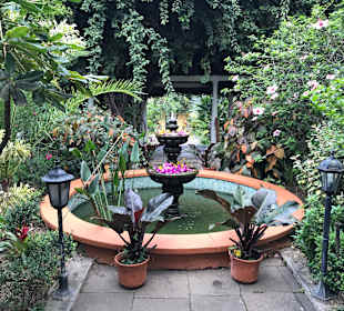 Botanischer Garten Puerto de la Cruz