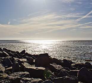 Ausblick bei Friedrichskoog-Spitze