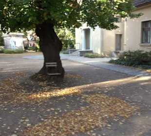 Dorotheenstädtischer Friedhof