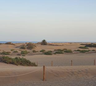 Strand Playa del Ingles