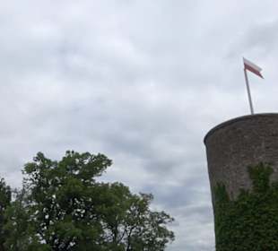 Burg Hohennagold