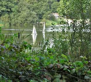 Impressionen vom Rundweg um den Weichelsee