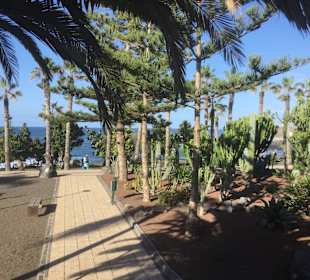 Wandern Puerto de la Cruz