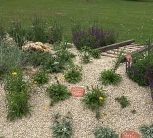 Blühendes Neresheim