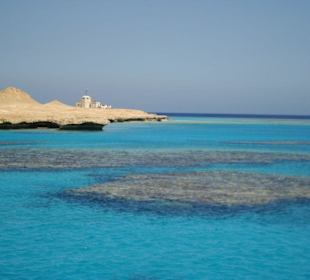 Rafy koralone w okolicach Giftun