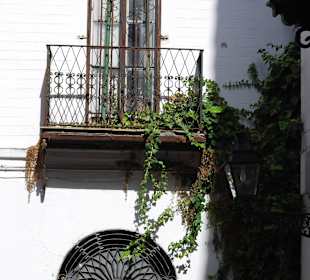 Stadtteil SANTA CRUZ