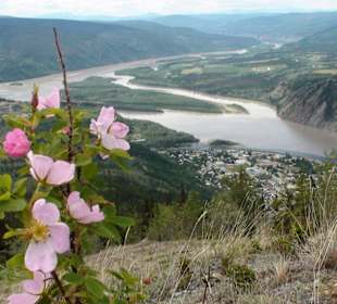 Dawson City
