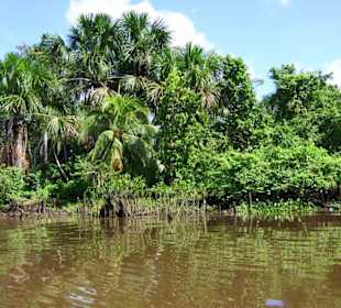 Auf dem Weg ins Camp