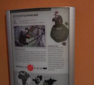 Tierpark Hellabrunn - Welt der Affen