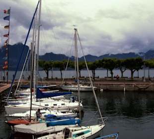 Gardasee - Ufer Impressionen