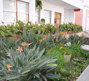 Innenstadt Los Llanos