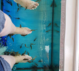 Stadtrundgang Costa Adeje