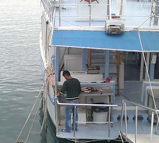 Fische küchenfertig machen 