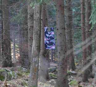 Riesengebirge/Karkonosze