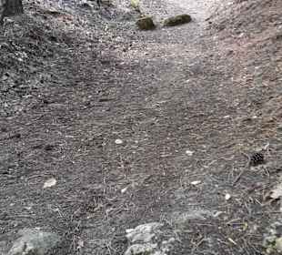 Der schmale Pfad hinab von der Bärenquelle