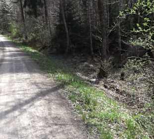 Wanderung Drei Seen/Drei Täler