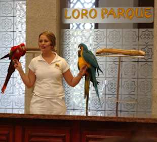 Loro Show