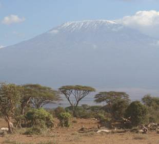 Amboseli