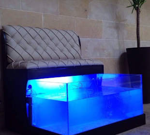 Aquarium im "Star Makadi"