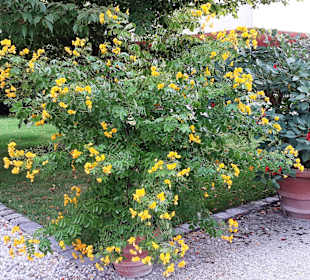 Garten der Brauerei Weihenstephan