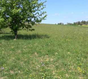 Premiumwanderweg Hochgehschätzt
