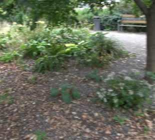 Kleiner Tiergarten