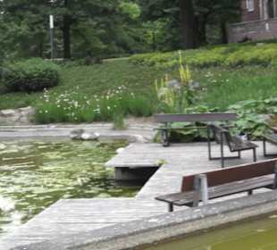 Millerntorspeier - Große Wallanlagen