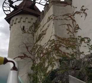 Erlebnispark Tripsdrill