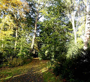 Herbstspaziergang durch den Schlosspark