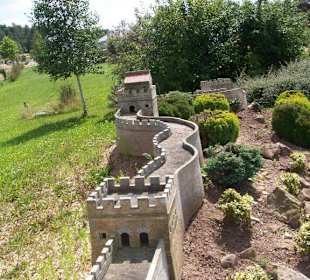Auf der Mauer auf der Lauer.