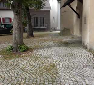 Martinskirche