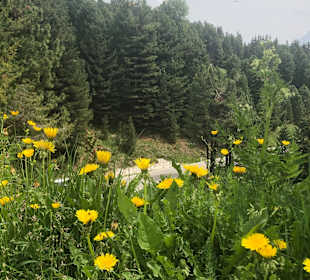 Wandern St. Jakob im Defereggental