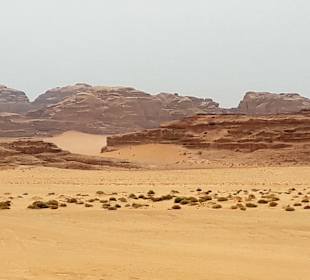 Wüstenlandschaft Wadi Rum