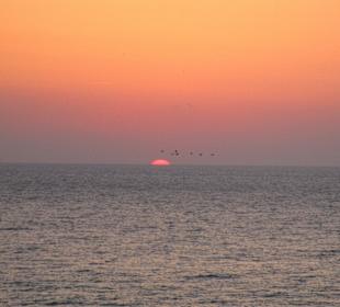 Eforie Sud (Sunrise)