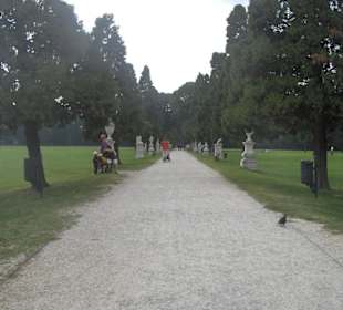 Parco naturale delle dune