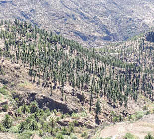 Wandern Playa del Ingles