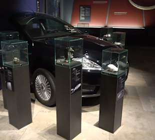 Staatliches Naturkunde Museum