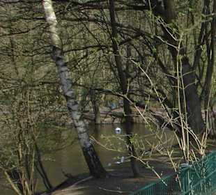  Zoologischer Garten Kaiserslautern