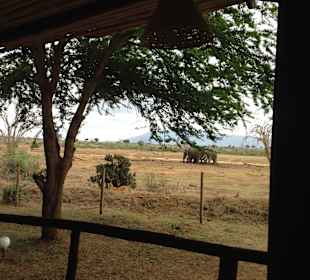 Ausblick von der Terrasse