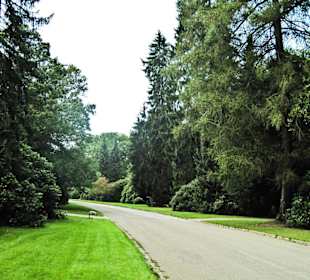 Кладбище Ольсдорф, Гамбург, 16 сентября 2013 года