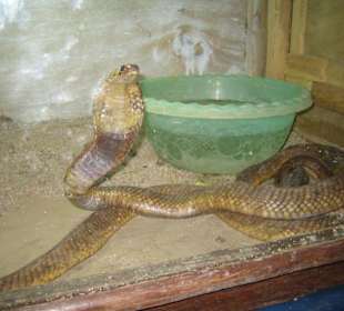 Während der Quad-Tour