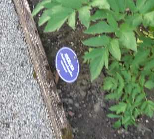 Kräutergarten Blaubeuren