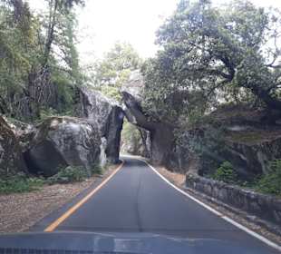 Impressionen vom Yosemite- Nationalpark