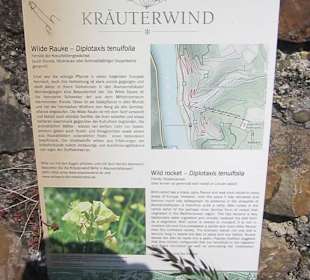 Impressionen Kräuterweg in Assmannshausen